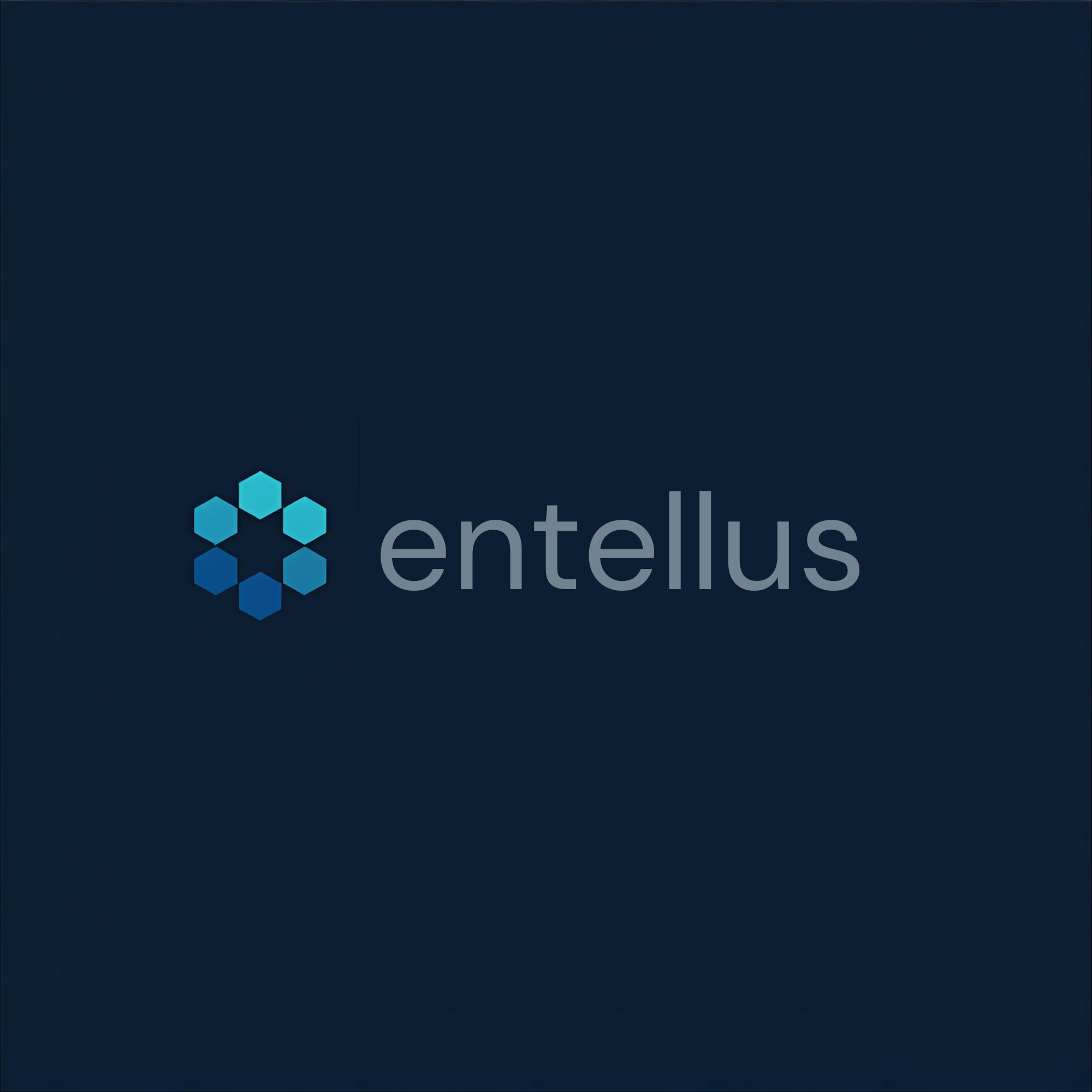 Entellus Solutions